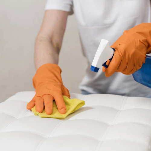 Untitled design (55)